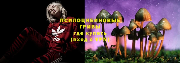 соль ск Арсеньев