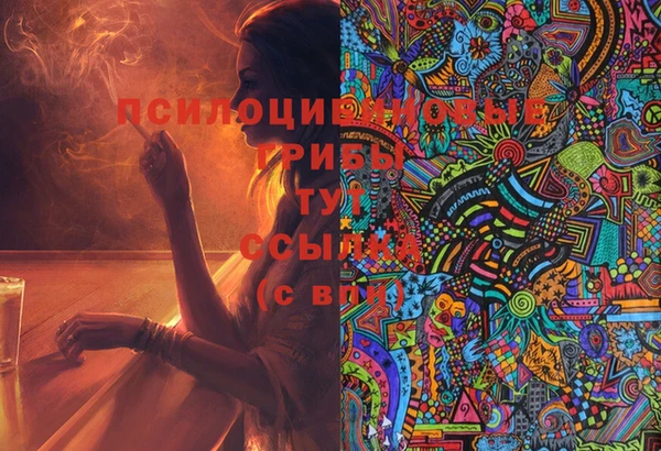 молекула духа Аркадак