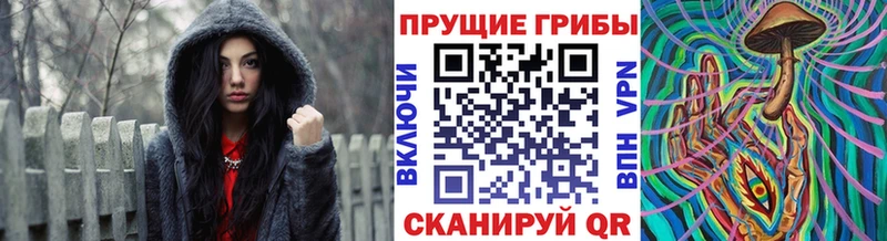 Галлюциногенные грибы мицелий Тайшет